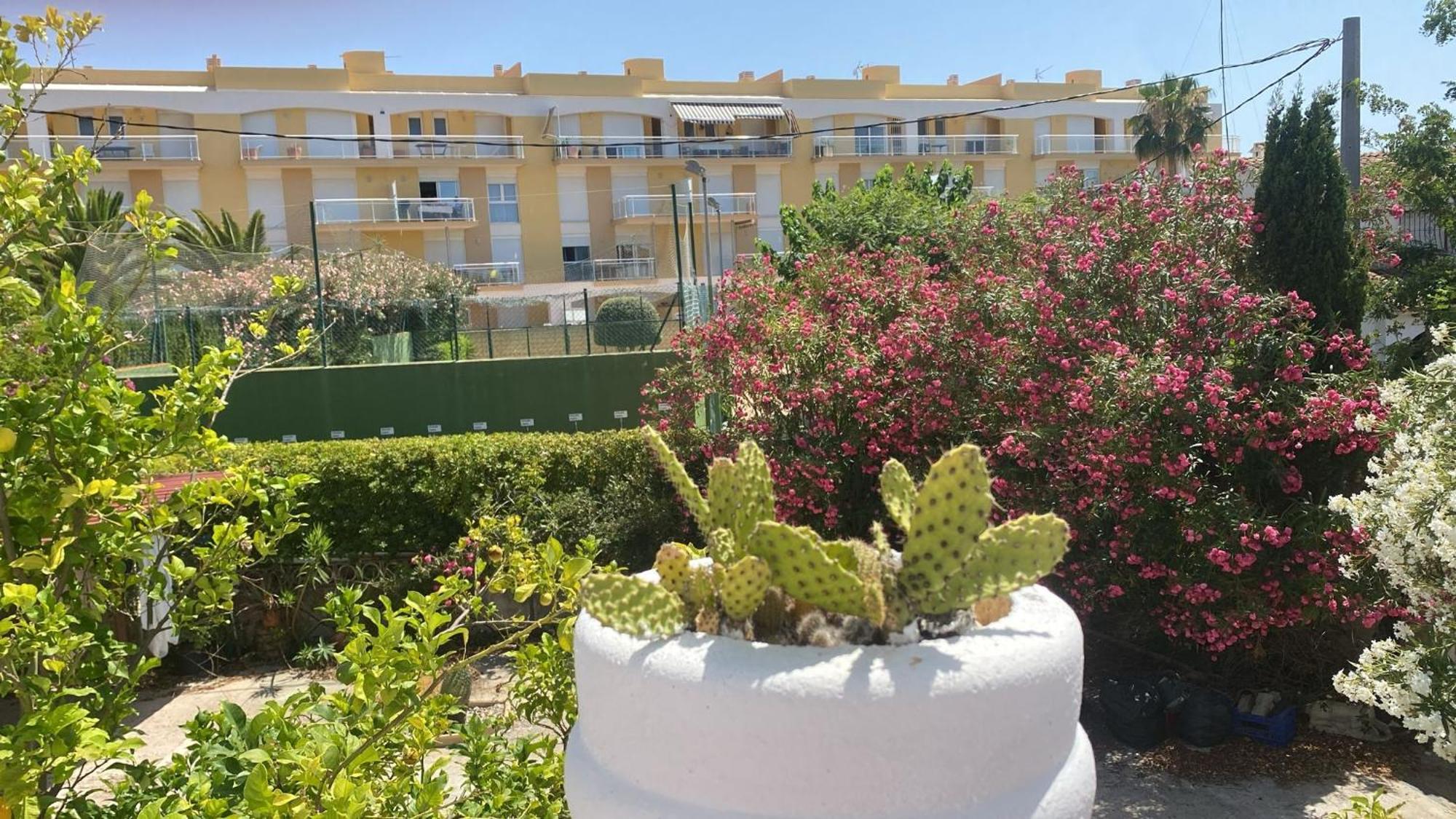 Chalet Denia Playa Primera Linea Ngoại thất bức ảnh